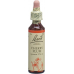 Bachblüten Cherry Plum Nr. 6 Flüssig 20ml buy online