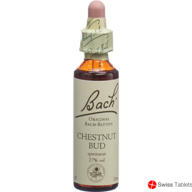 Bachblüten Chestnut Bud Nr. 7 Flüssig 20ml buy online