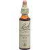 Bachblüten Chestnut Bud Nr. 7 Flüssig 20ml buy online