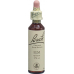 Bachblüten Elm Nr. 11 Flüssig 20ml buy online