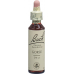 Bachblüten Gorse Nr. 13 Flüssig 20ml buy online