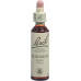 Bach-Blüten Original Hornbeam Nr.17 20ml buy online