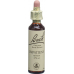 Bachblüten Impatiens Nr. 18 Flüssig 20ml buy online