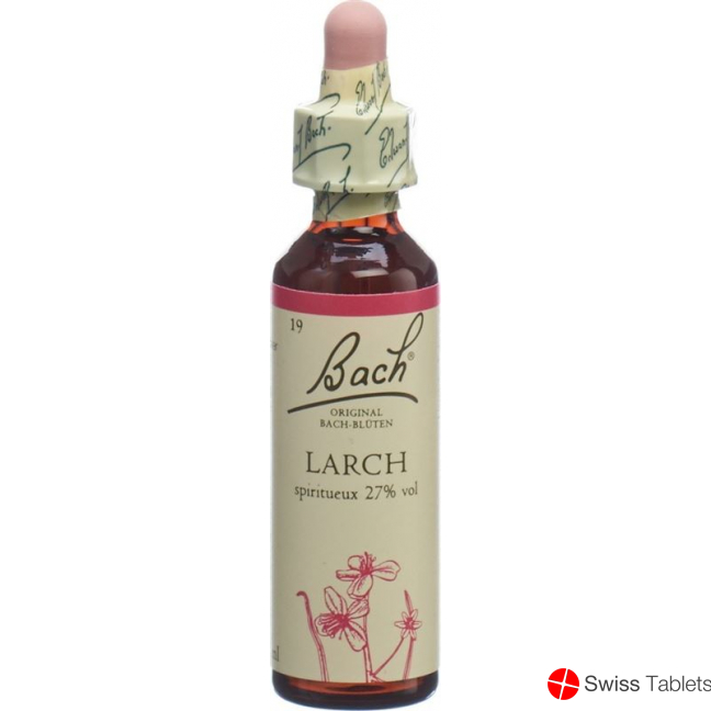 Bachblüten Larch Nr. 19 Flüssig 20ml buy online