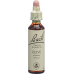 Bachblüten Olive Nr. 23 Flüssig 20ml buy online