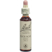 Bach-Blüten Original Rock Rose Nr.26 20ml buy online