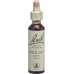 Bach-Blüten Wild Oat Nr. 36 20ml buy online