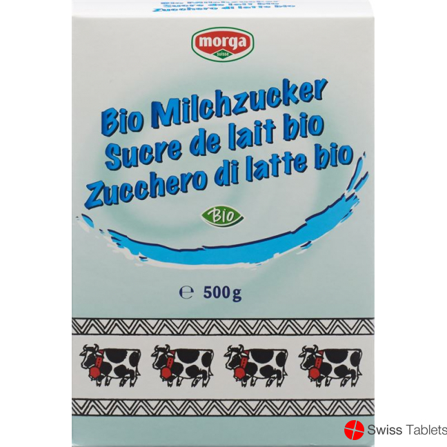 Morga Milchzucker Bio 500g buy online
