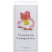 Phytopharma Teufelskralle Kapseln 435mg Pfl 45 Stück buy online