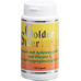 Goldensider Intense Apfelessig Kapseln 100 Stück buy online