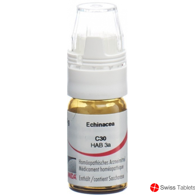 Omida Echinacea Globuli C 30 M Dosierhilfe 4g buy online