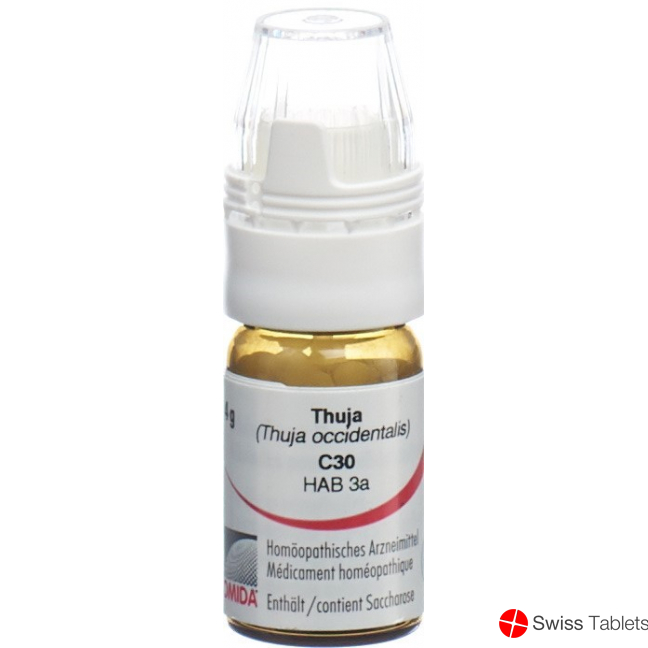 Omida Thuja Globuli C 30 M Dosierhilfe 4g buy online