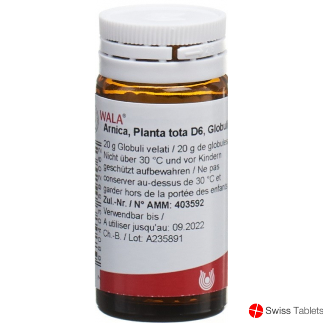 Wala Arnica E Planta Tota Globuli D 6 Flasche 20g buy online