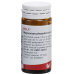 Wala Magnesium Phosphor Comp Globuli Flasche 20g buy online