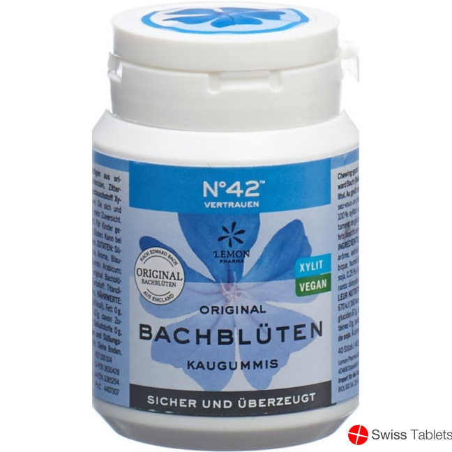 Dr. Bach Kaugummi für Selbstvertrauen Dose 60g buy online