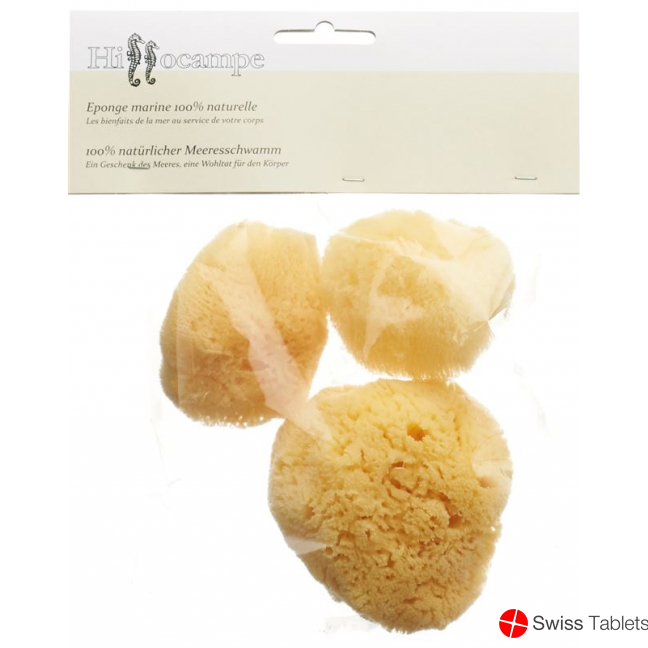 Hippocampe Natur Schwamm 300 3 Stück buy online