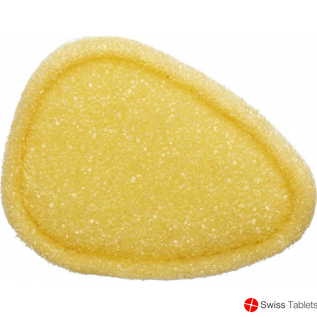 Sherteme Backhelp Exfoliating Sponge buy online