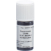 Aromasan Karottensamen Ätherisches Öl 5ml buy online