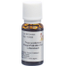 Aromasan Lebensbaum Ätherisches Öl 15ml buy online