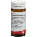 Wala Meteoreisen/phosphor/quarz Globuli 20g buy online