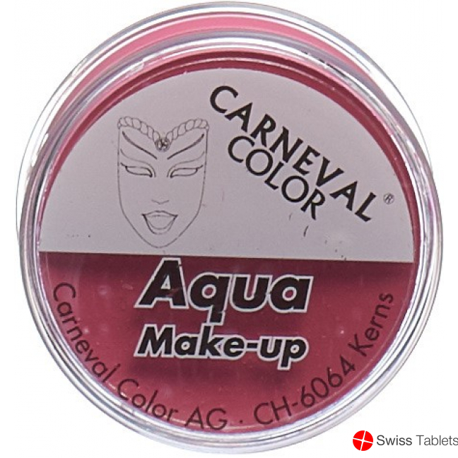 Carneval Color Aqua Make Up Pink Dose 10ml buy online
