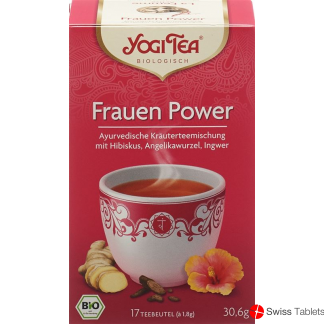 Yogi Tee Frauen Power Beutel 17 Stück buy online