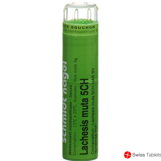 Lachesis muta SN Gran CH 5 4 g