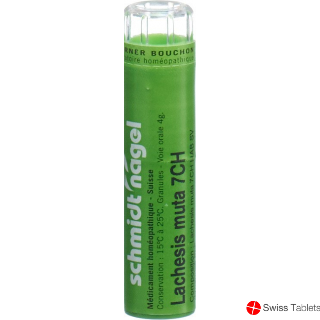 Lachesis muta SN Gran CH 7 4 g