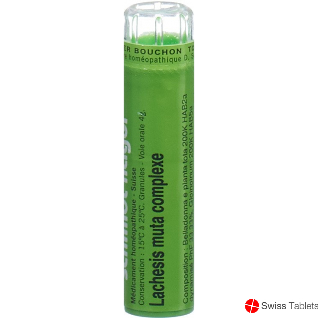 Lachesis muta SN complexe Gran 4 g