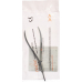 Nopa nail plucking pliers Radolf 13.5cm 6mm buy online