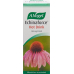 A. Vogel Echinaforce Hot drink hot drink 100 ml