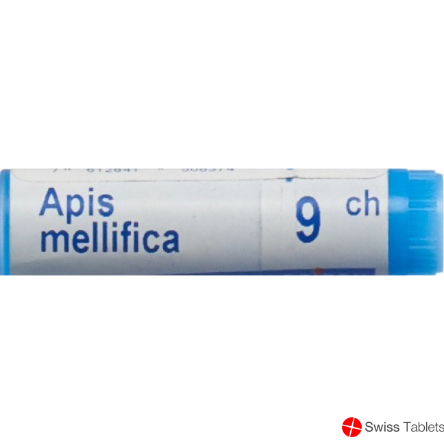Apis mellifera Boiron Glob C 9 1 Dos