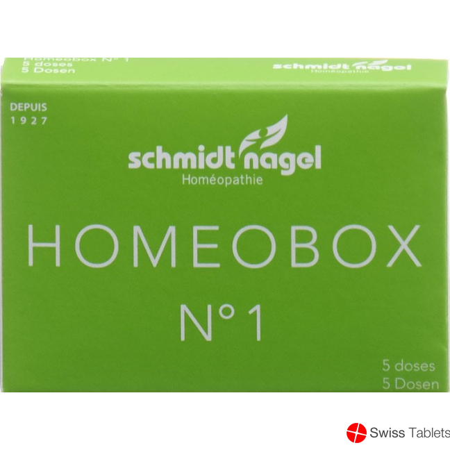 Sn Homeobox 1 Globuli Schachtel 5 Tube 1g buy online