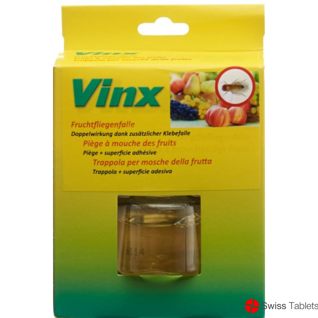 Vinx fruit fly trap with adhesive strips buy online
