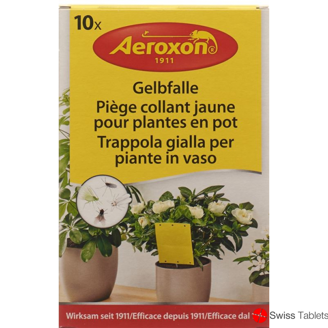 Aeroxon Gelbfalle für Topfpflanzen 10 Stück buy online