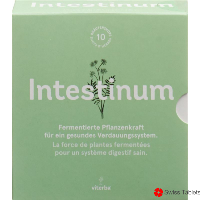 Viterba Intestinum Shot 10 Stück buy online