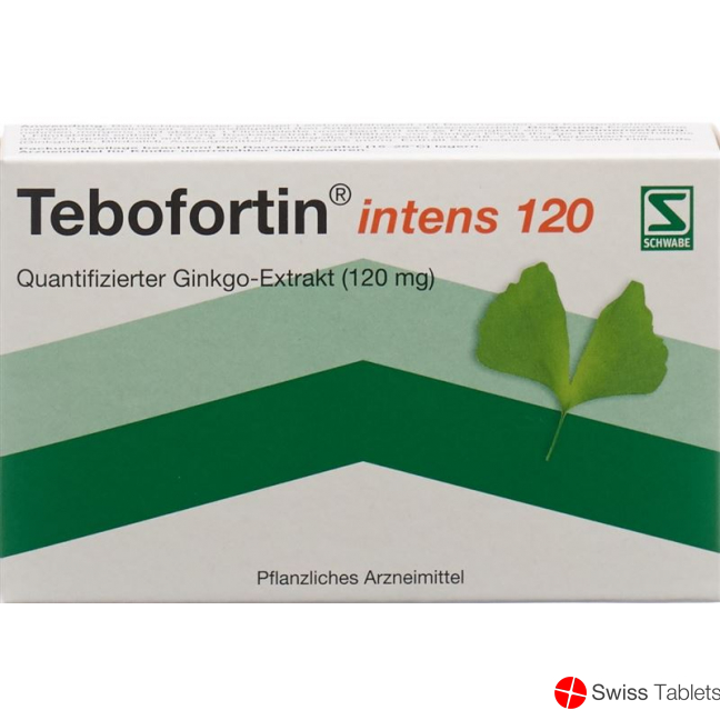 Tebofortin Intens 120 Filmtabletten 120mg 30 Stück buy online