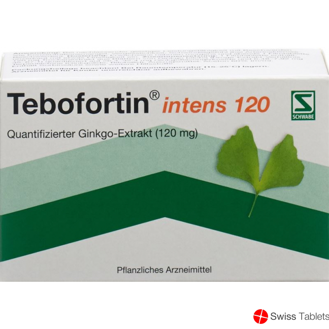 Tebofortin Intens 120 Filmtabletten 120mg 90 Stück buy online