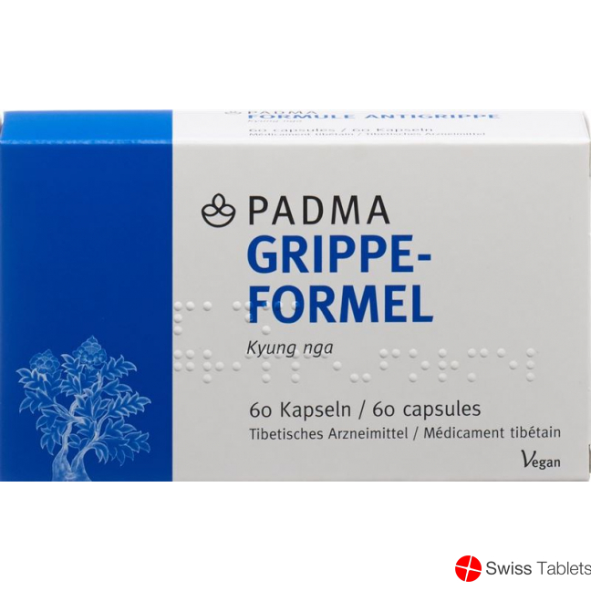Padma Grippe-Formel Kapseln 60 Stück buy online