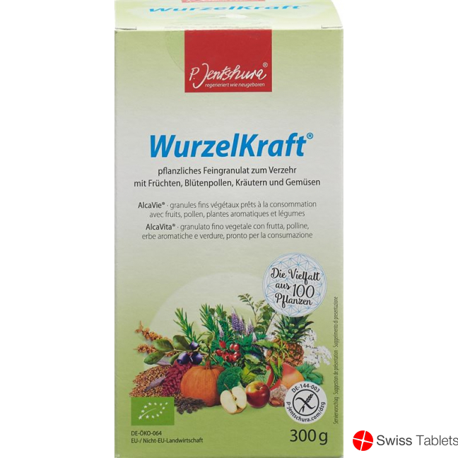 Jentschura Wurzelkraft Feingranulat Bio 300g buy online