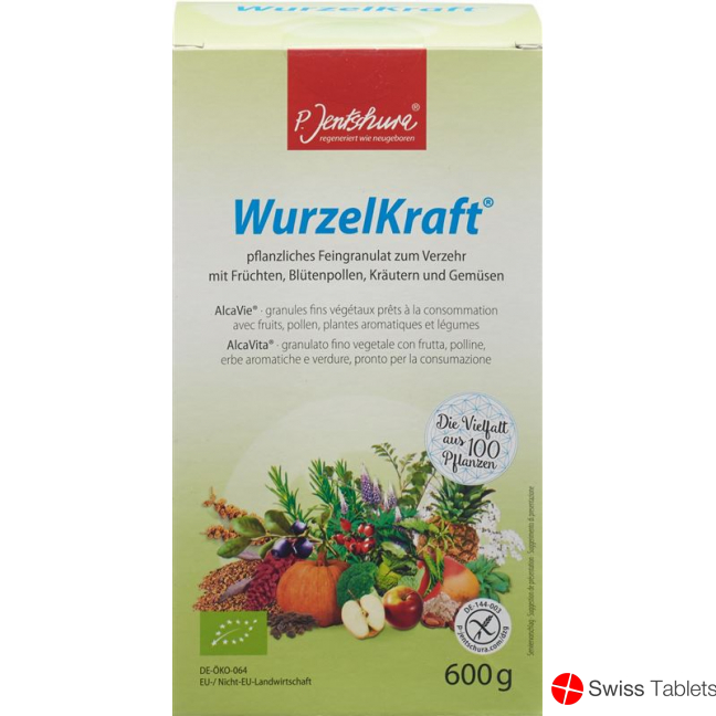 Jentschura Wurzelkraft Feingranulat Bio 600g buy online