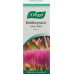 Vogel Boldocynara Leber-Galle Tropfen Flasche 100ml buy online