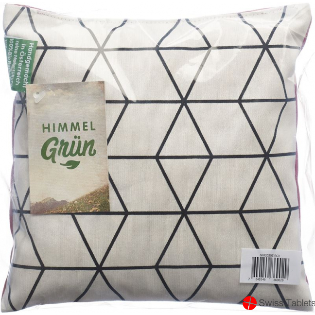 Aromalife pine cushion 20x20cm Modern buy online