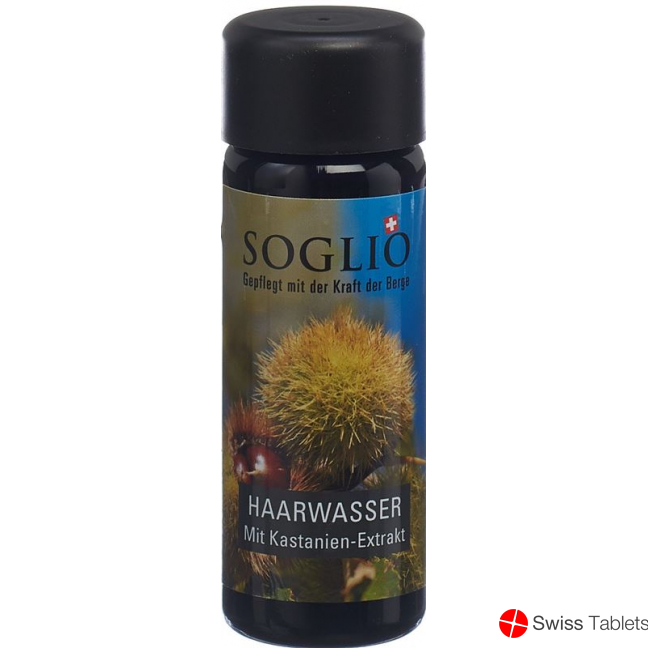 Soglio Haarwasser mit Kastanien-Extrakt Flasche 100ml buy online