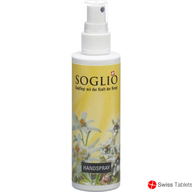 Soglio Handspray Flasche 100ml buy online