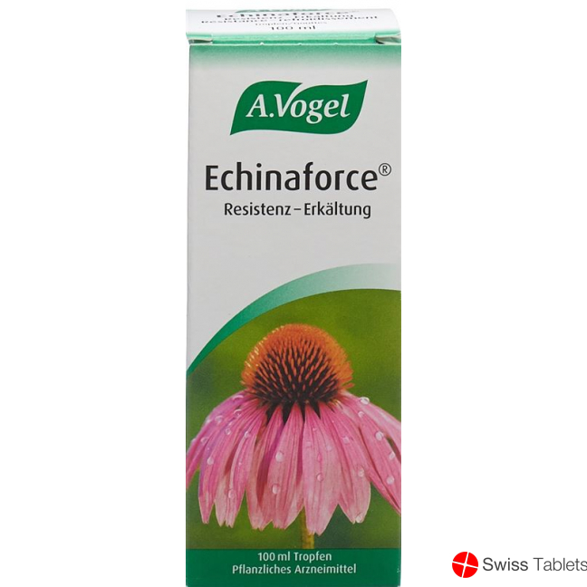 Vogel Echinaforce Resistenz-Erkältung Tropfen 100ml buy online