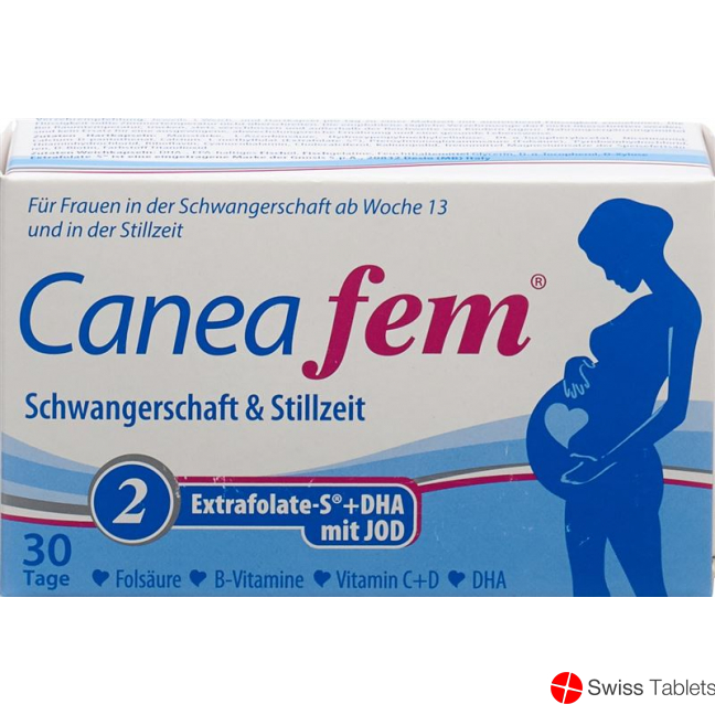 Caneafem 2 Schwangerschaft Stillzeit Kapseln 60 Stück buy online