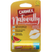 Carmex Lippenbalsam Naturally Waterme Stick 4.25g buy online