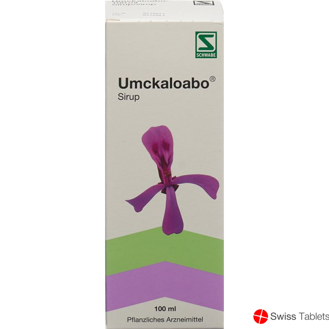 Umckaloabo Sirup Flasche 100ml buy online