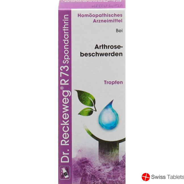 Reckeweg R73 Spondarthrin Tropfen Flasche 50ml buy online